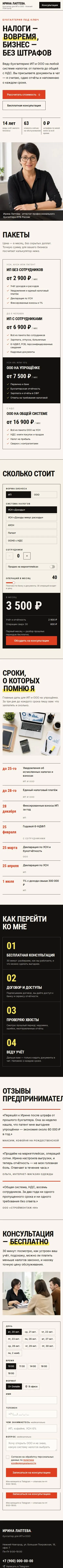 Шаблон сайта бухгалтера: телефондағы көрінісі